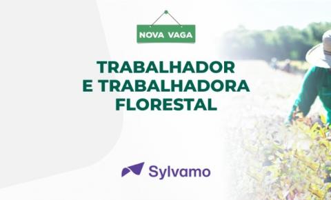 ​Sylvamo contrata profissionais para trabalho florestal