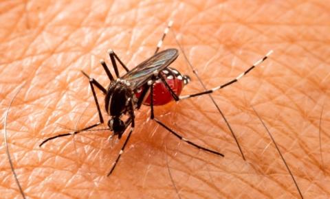 ​Dengue: VE faz alerta para o período de calor e chuva 